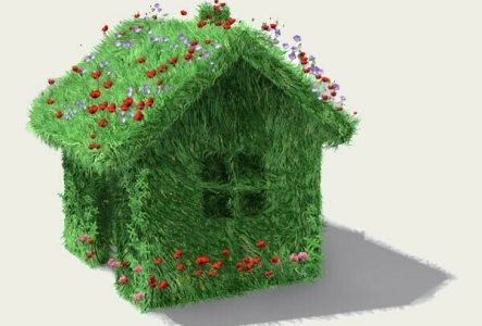Petite maison entièrement recouverte d'herbe et de fleurs