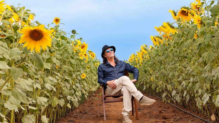 Photo de l'artiste assis sur une chaise dans un champ de tournesols
