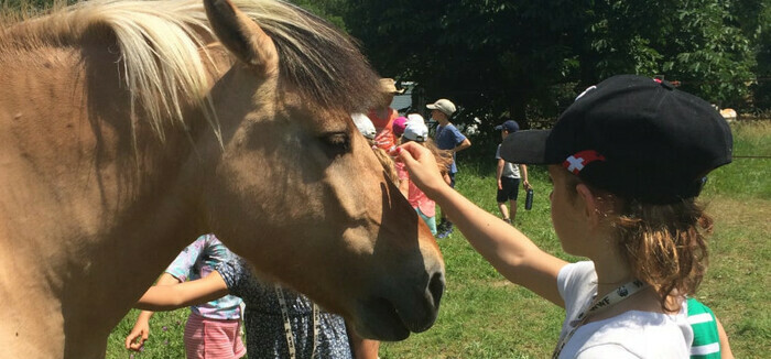 cheval enfants
