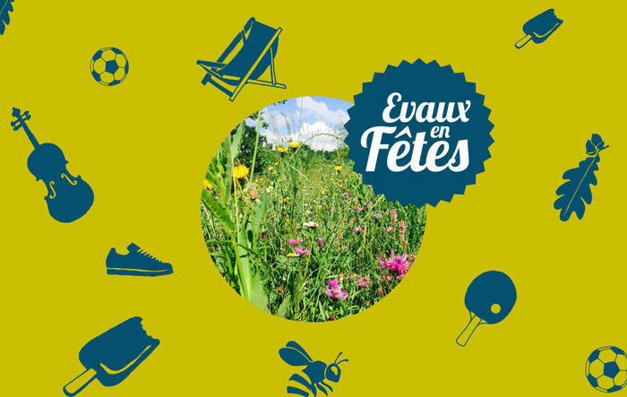Champs de fleurs