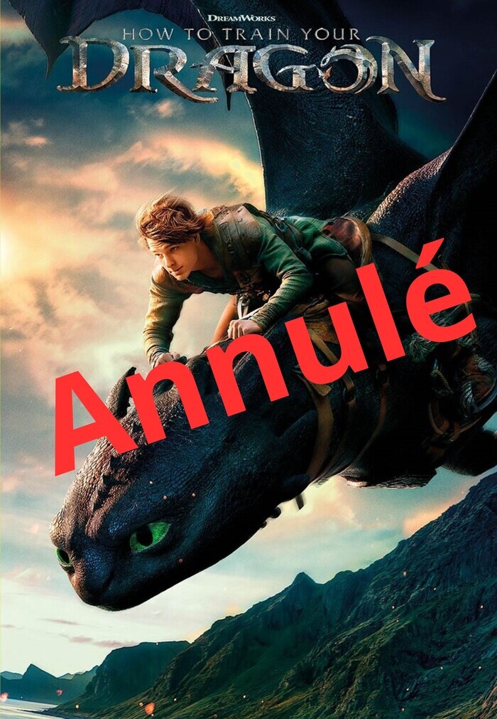 affiche du film où un personnage vole sur un dragon