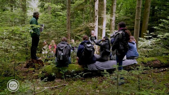 Gregory Collomb Apercu d'un atelier biomimetisme dans les bois
