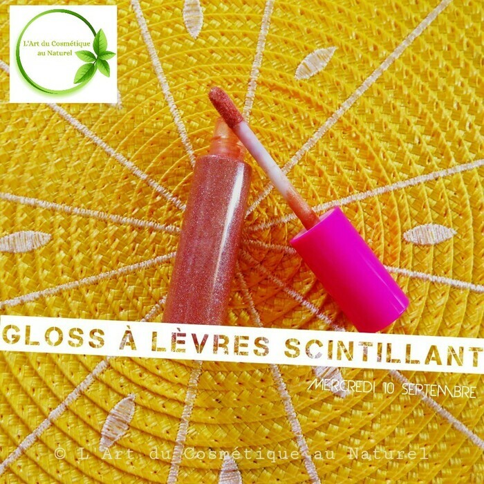 L'Art du Cosmétique au Naturel gloss naturel