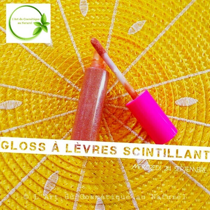 L'Art du Cosmétique au Naturel gloss naturel