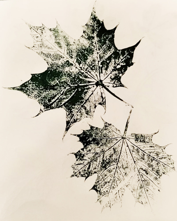 Carnet de tamponnage avec deux feuilles d'arbres