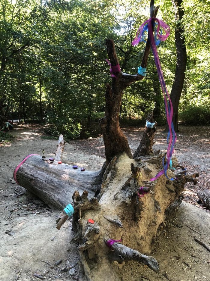 Oeuvre éphémère sur un arbre.