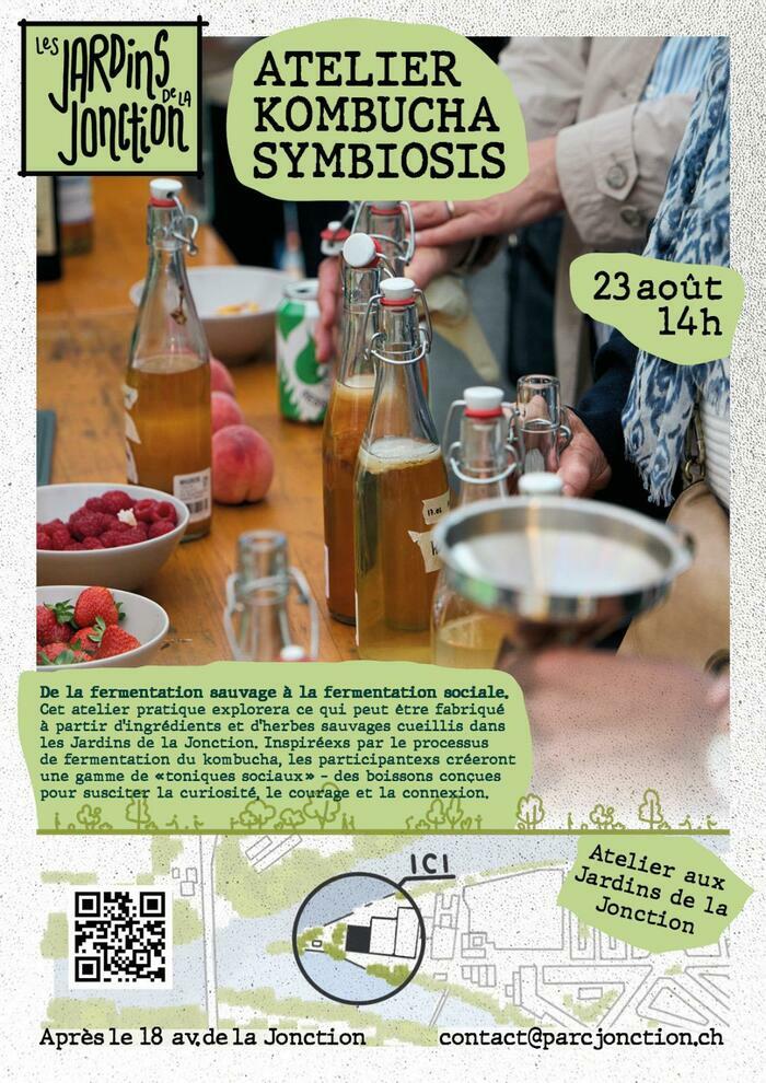 Affiche Kombucha Symbiosis