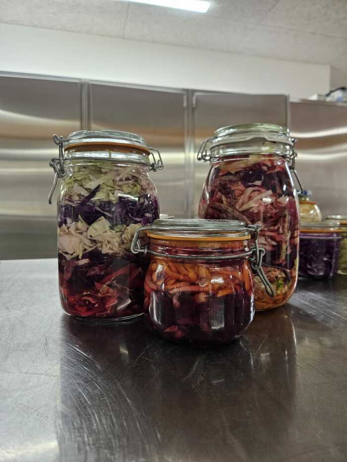 Bocaux en fermentation