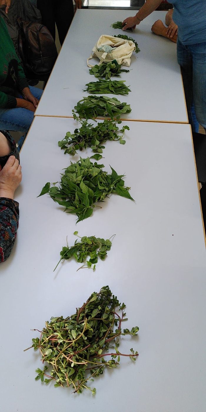 Table sur laquelle sont posées des feuilles de plantes
