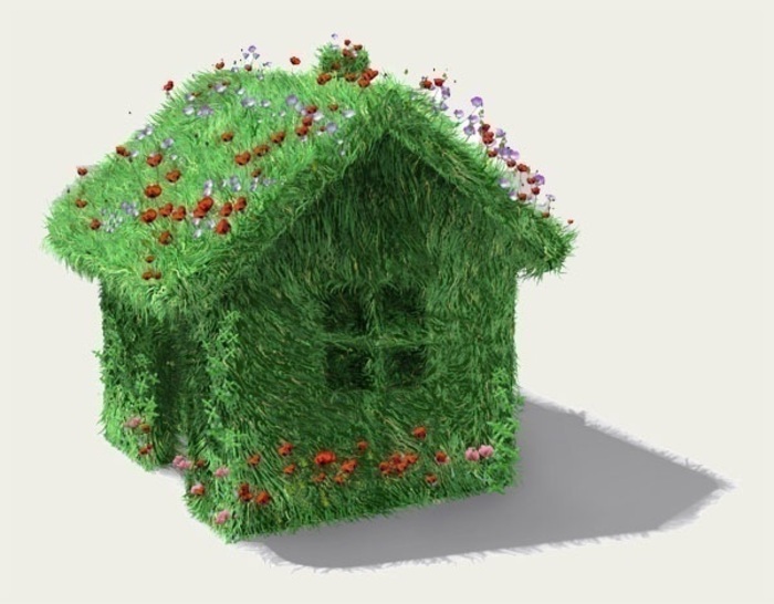 DR Petite maison entièrement recouverte d'herbe et de fleurs