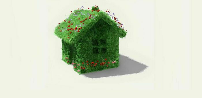 DR Petite maison entièrement recouverte d'herbe et de fleurs