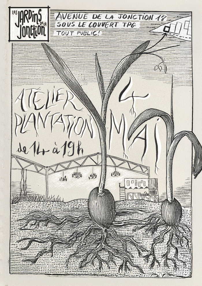 Jardins de la Jonction Des graines germent dans un style d'illustration à la gravure à l'eau forte