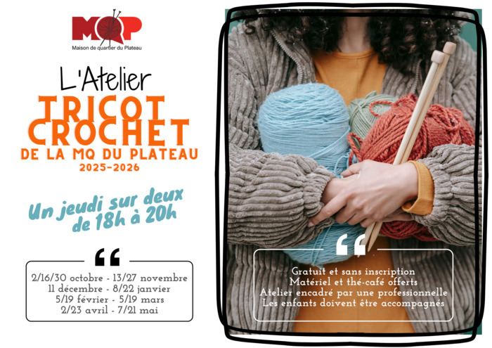 Pelotes de laine et aiguilles