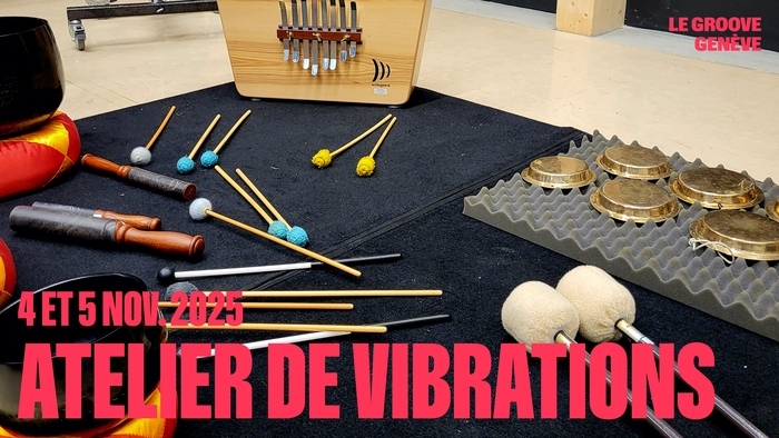 Geneva Camerata Atelier de vibrations le 4 et 5 novembre