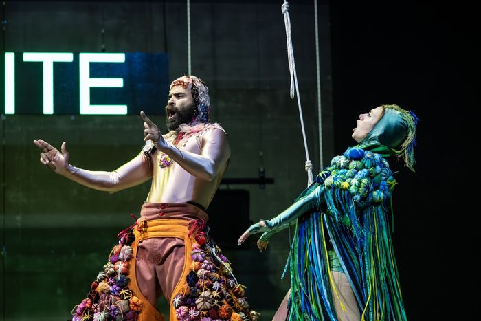 Deux interprètes du spectacle sur scène en costumes d'oiseaux