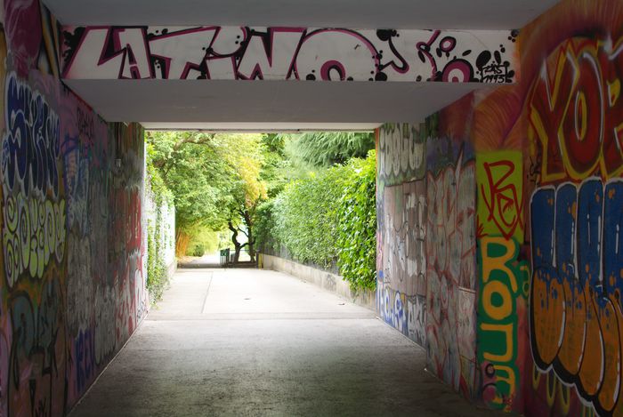 Photographie d'un passage entre la rue de la Dôle et le Parc des Délices, à Genève