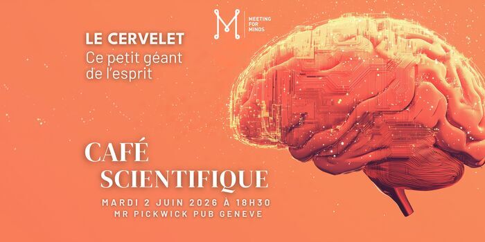 Cerveau orange pour le Café Scientifique de Meeting for Minds — on voit bien le cervelet, cette petite structure à l'arrière du crâne
