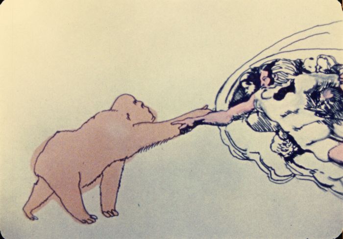 Dessin qui réinterprète La Création d'Adam de Michel-Ange avec un gorille à la place de l'homme