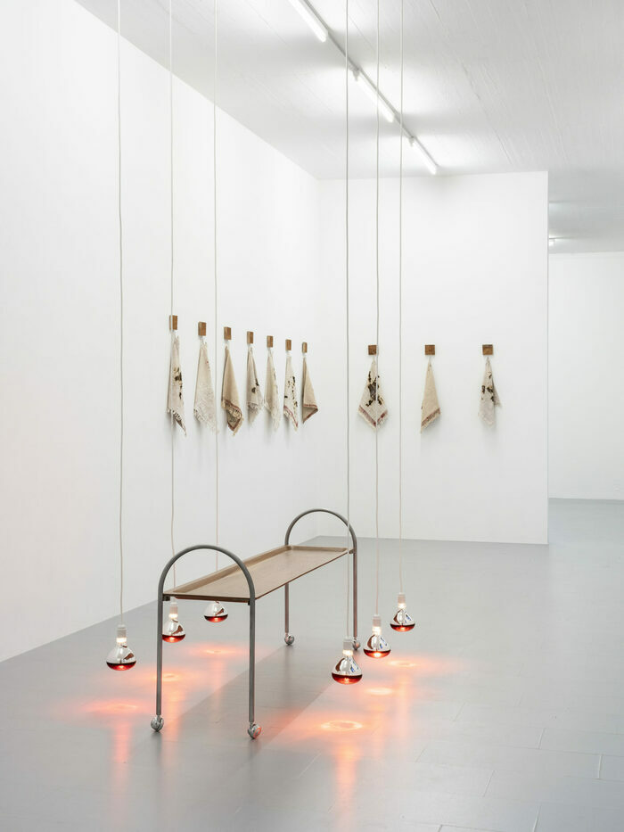 installation de Clara Roumégoux