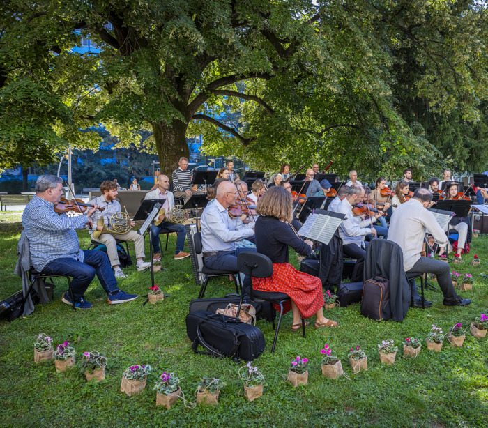 L’Orchestre de Chambre de Genève sous un arbre