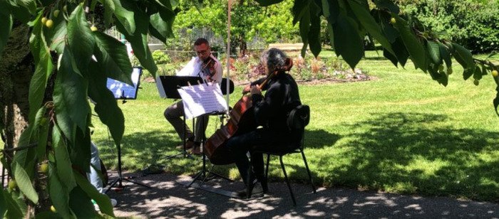 musiciens en plein air