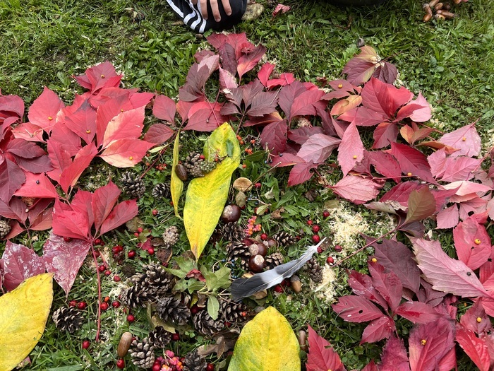 CJBG Différents feuilles d'automne
