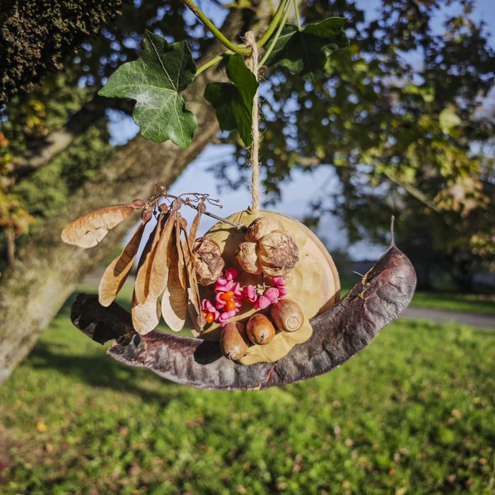Un escargot réalisé en landart par des enfants lors d'un précédent atelier.