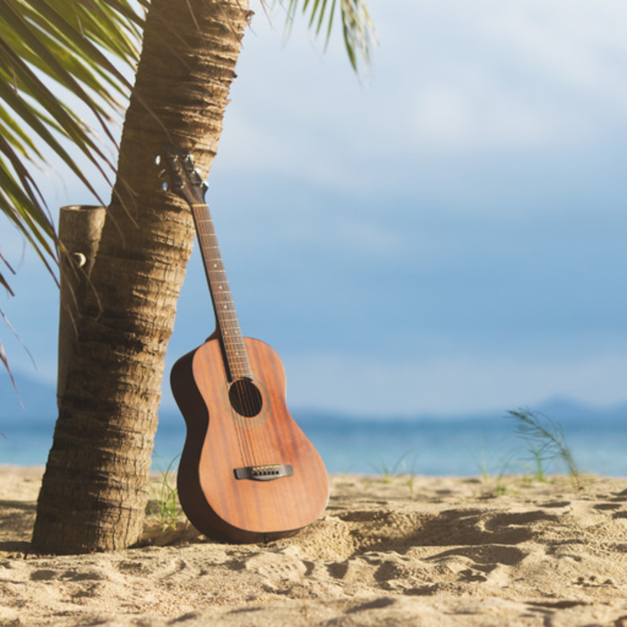 DR Une guitare appuyée à un cocotier sur une plage