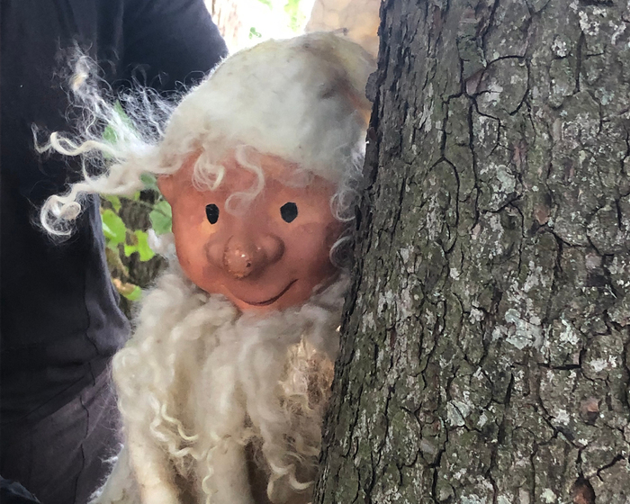 Dans la forêt, il y a...