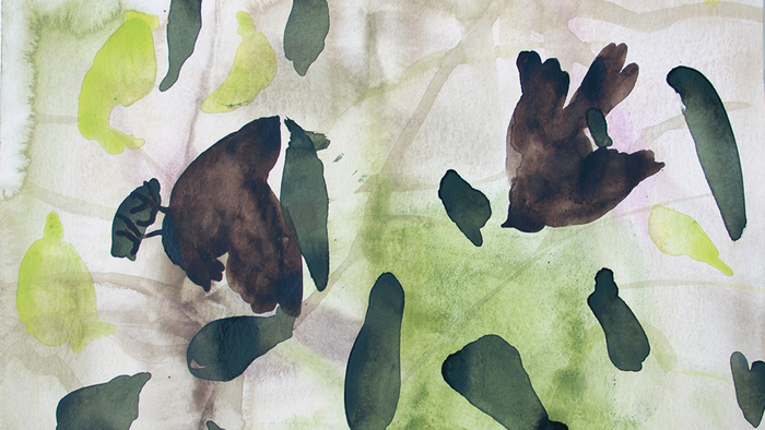 Aquarelle représentant des oiseaux bruns. Des taches vertes sapins et vertes citron forment le fond.