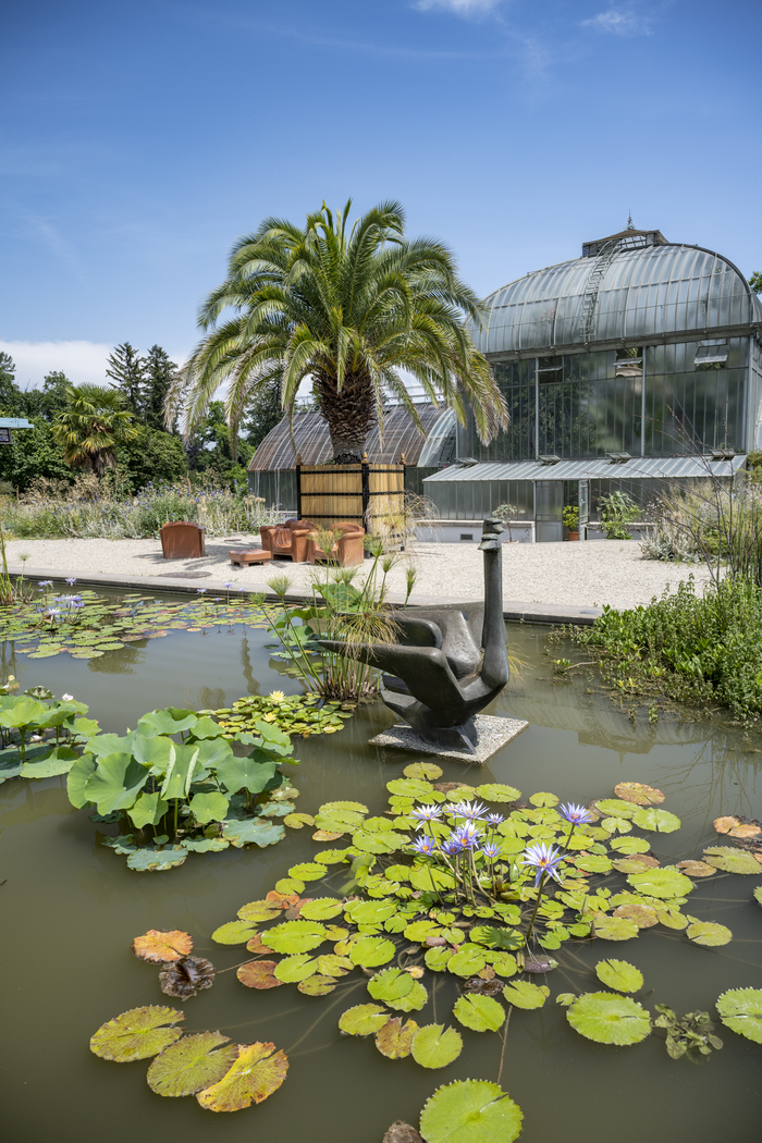 Bassin avec une sculpture "Les cygnes,1968, sculpture en bronze de Willy Georges Vuilleumier, (1898 - 1983)" et en arrière plan le jardin d'hiver