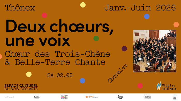 sur fond marron, il y a des petits points de couleurs avec les informations de l'événement à gauche et une photo des artistes à droite