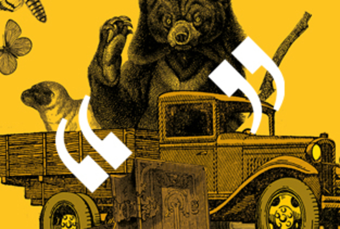 Illustration d'un ours sur une camionnette, avec des papillons autour, et des guillemets blanc