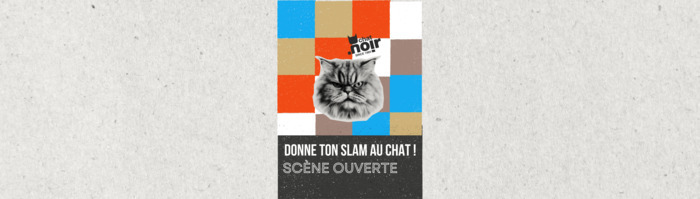 Une affiche colorée avec un chat au poils longs qui a l'ait fâché.
