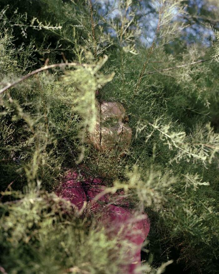 Laurence Rasti Image d'une femme, cachée derrière une plante pour masquer son identité