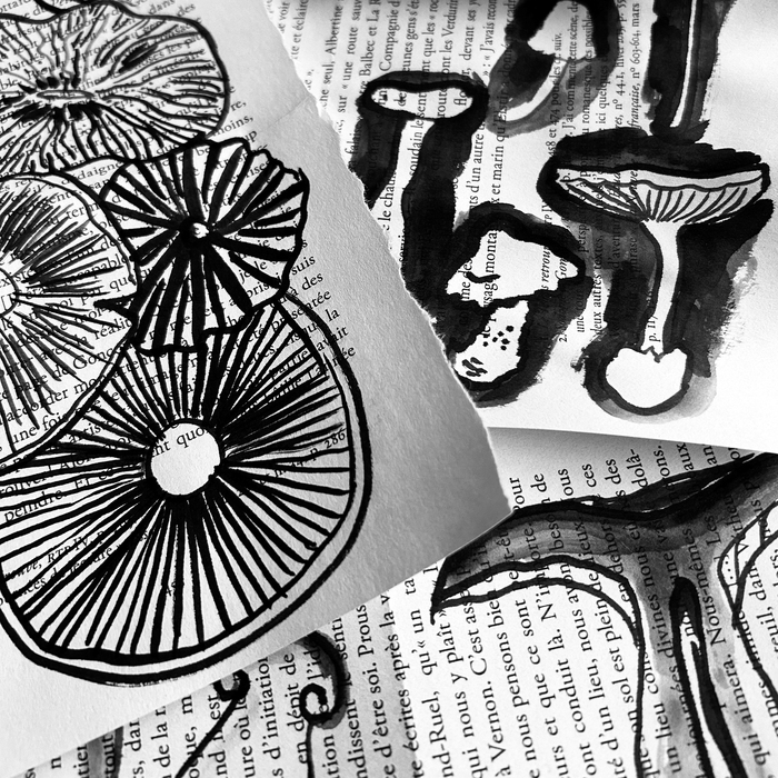 Anouck Fontaine Une photo en noir et blanc qui représente des dessins de champignons peints à l'encre de chine sur une page de livre imprimée