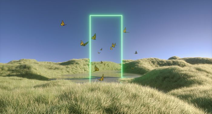 Une porte lumineuse dans un champ par laquelle passent des papillons