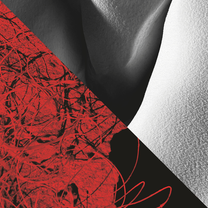 Oeuvres des artistes