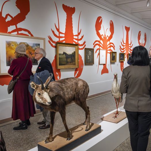 Visuel de l'exposition