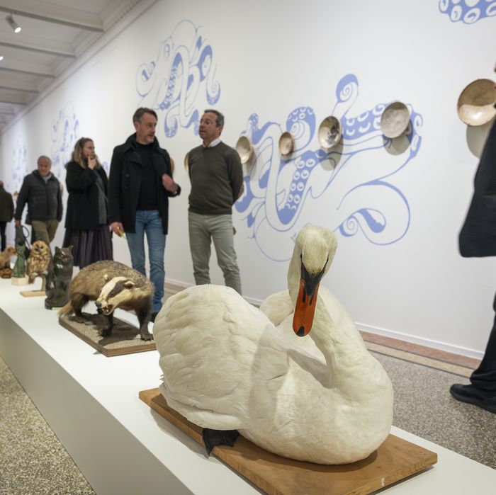 Visuel de l'exposition
