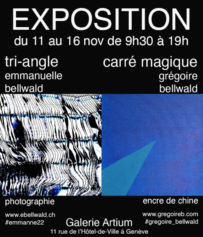 Flyer de l'annonce de l'exposition de photographie et de peinture de deux artistes Emmanuelle Bellwald et Grégoire Bellwald à la galerie Artium au 11 rue de l'Hôtel-de-Ville du 11 au 16 novembre 2025.