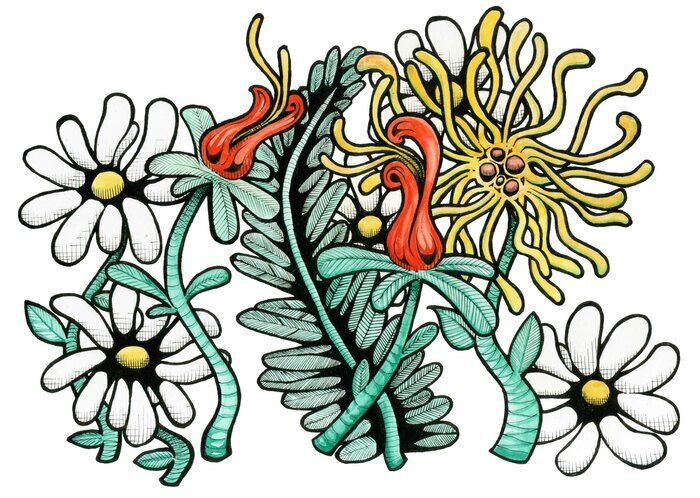 © Solal Faucherre Dessin représentant plusieurs variétés de fleurs