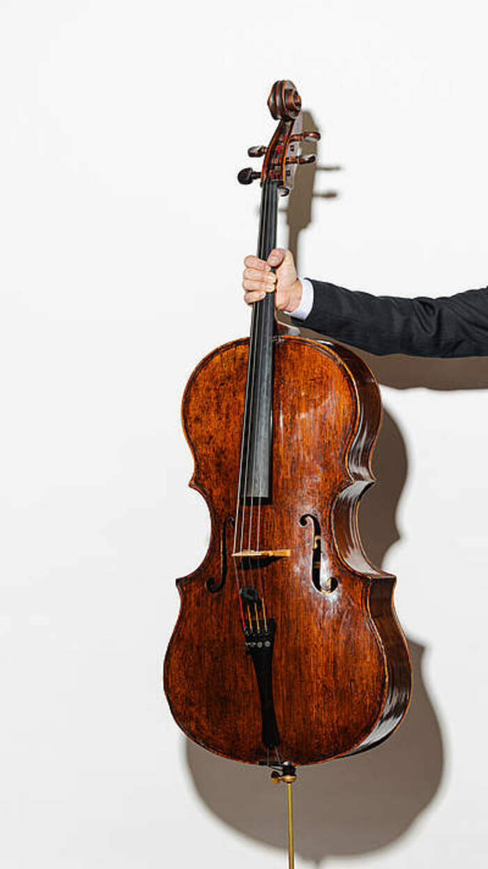 Violoncelle