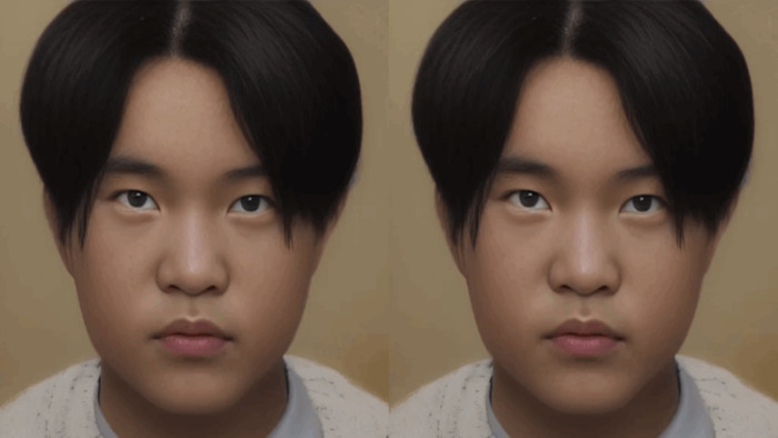 une image qui semble de synthèse avec deux visages identiques asiatiques