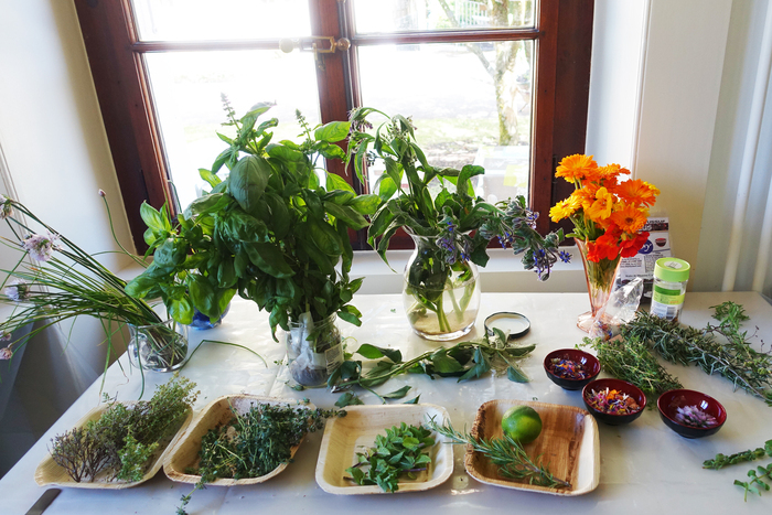 CJBG Présenté sur une table dans des assiettes et vases, un grand choix de plantes comestibles