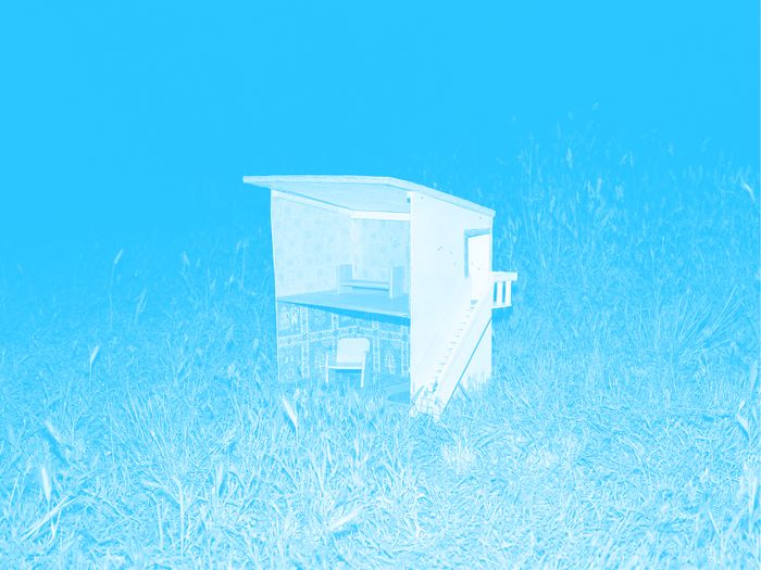La miniature d'une maison sur l'herbe. La photo a un filtre de couleur.