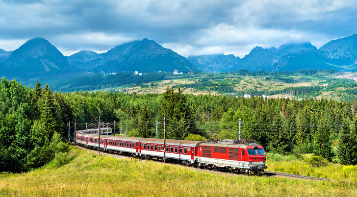 2017 Leonid Andronov/Shutterstock train dans la nature
