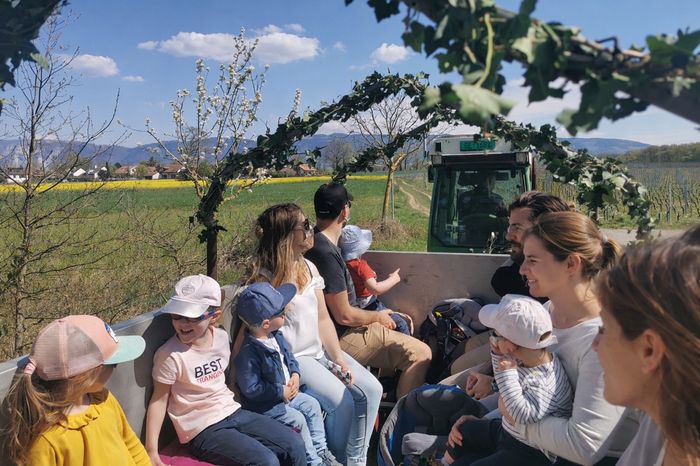 Tour en char viticole à Genève