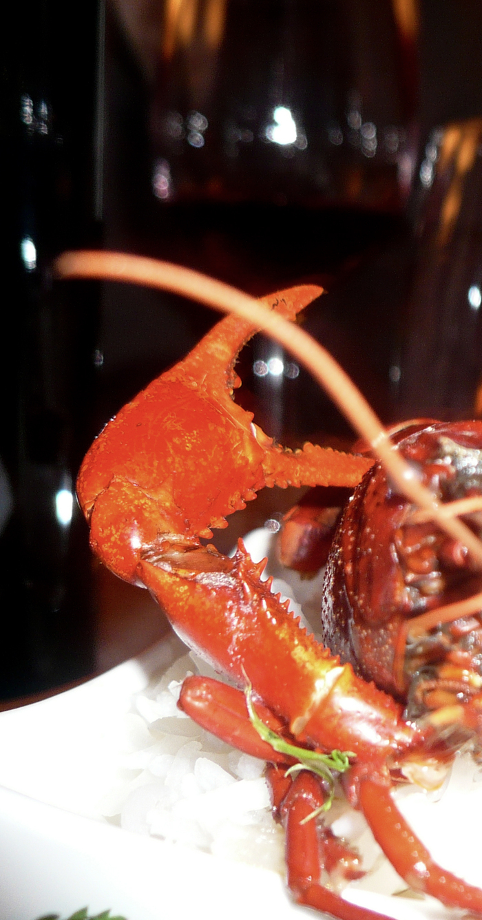 C'est la photo d'un homard dont on aperçoit les pinces en premier plan. Le homard est sur une assiette blanche.