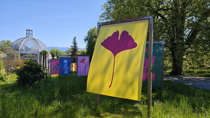 Voiles de couleurs vives avec dessin de plante